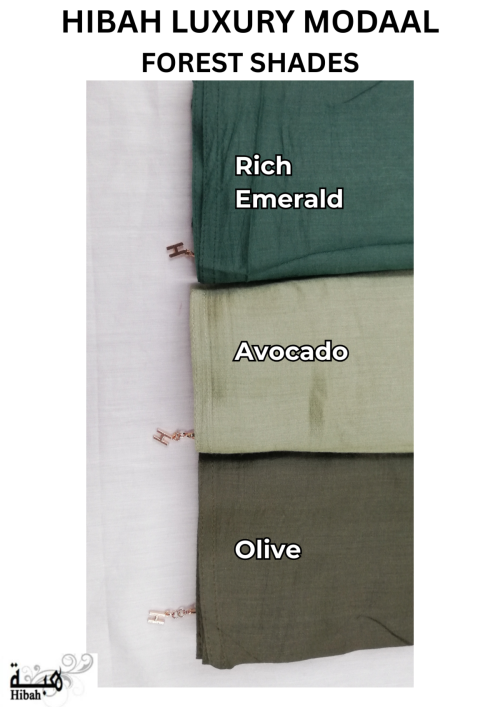 New Luxury Soft Delicate Modaal Scarf - HS306 