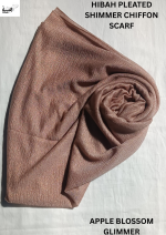 Pleated Shimmer Chiffon - HS012A 